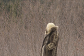 Fanadeep_manteau_web Fanadeep_manteau_web